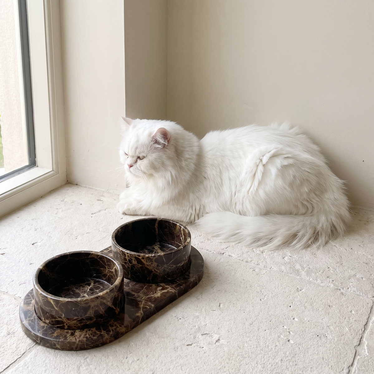 White Persian cat resting beside the Castaño marble bowl set