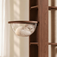 Ladda bilden i Galleri Viewer, White Persian cat resting in the clear pod of the Monarch Climb
