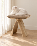 Load image into Gallery viewer, Cat resting on the Sora perch by a window (Natural)
